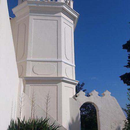Villa-Chateau Les Terrasses - Tamaris, Plage Des Sablettes, Mer Au Bas De La Propriete La Seyne-sur-Mer Exterior photo